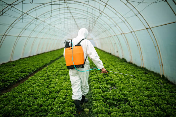 Best Ant Control Services  in Sudan, TX