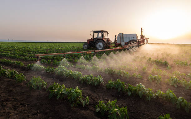 Insect Control in Sudan, TX