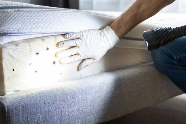 Best Best Pest Control Companies  in Sudan, TX